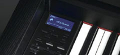 Цифровое пианино Yamaha Clavinova CLP535 купить