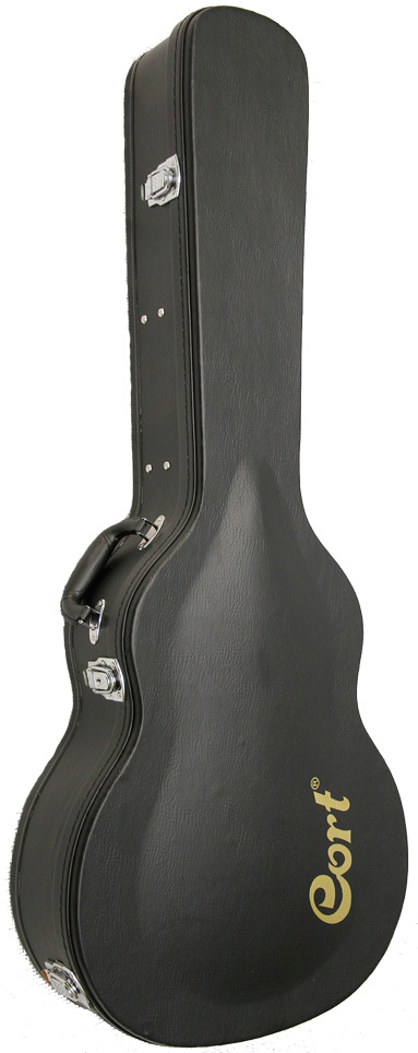 cort guitar case