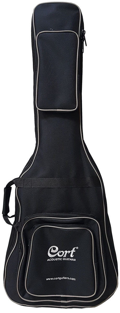 cort guitar case