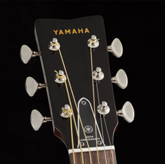 Yamaha FG180-50TH JAM.UA