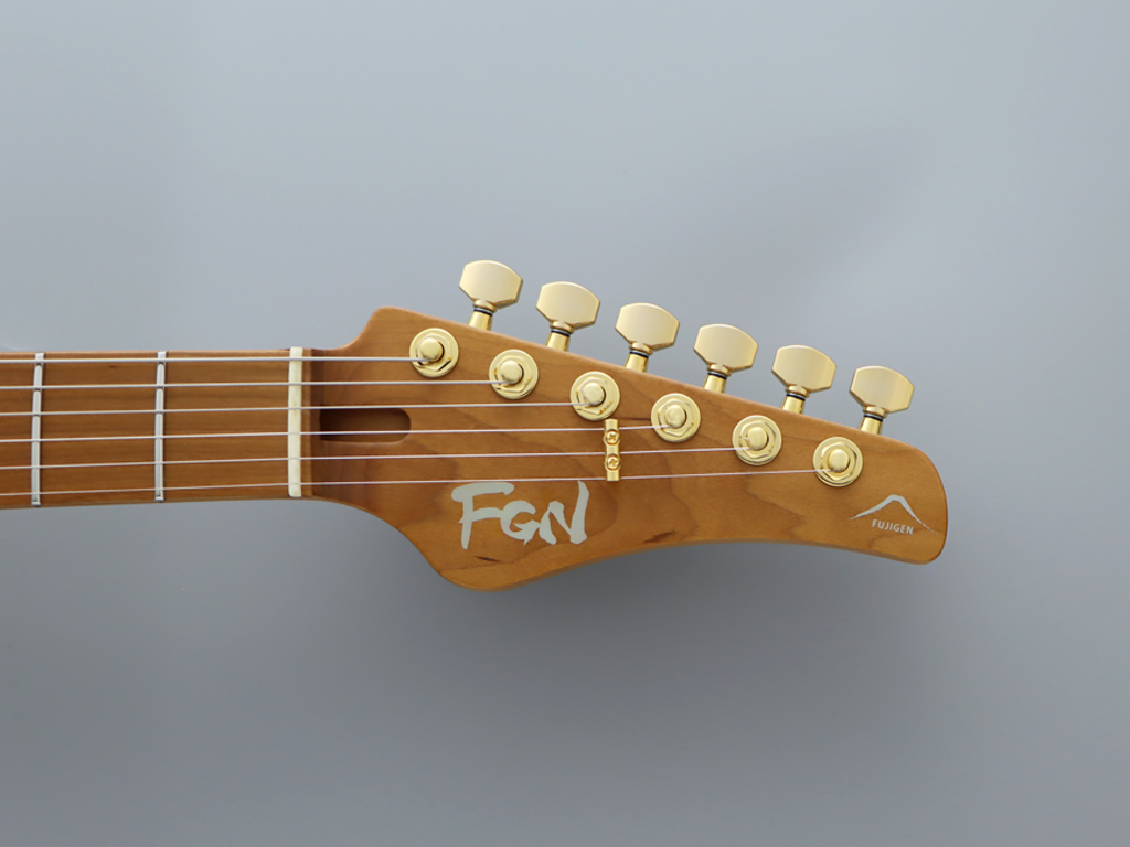 FGN EOS2 Замкові кілки і тремоло Gotoh