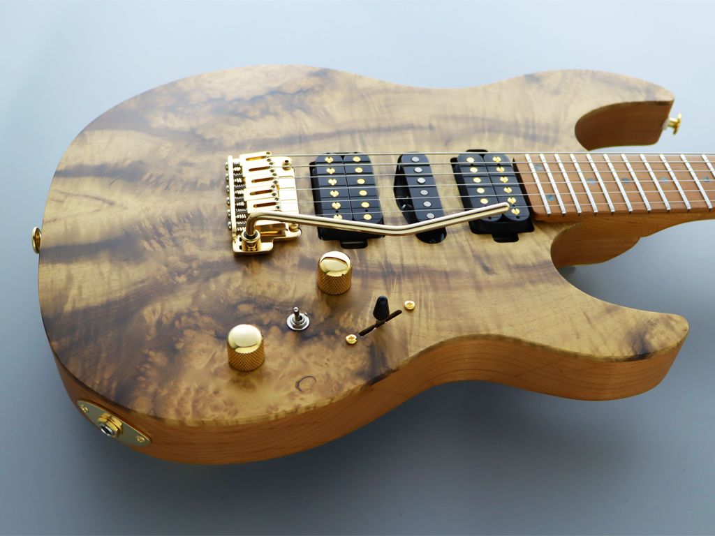 Звукознімачі FGN Expert