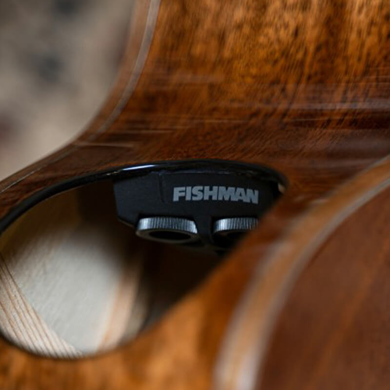 Fishman Matrix Infinity VT