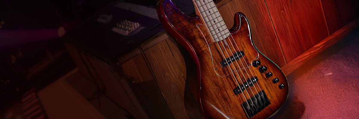 Модернизированные звукосниматели Voiced Tone J-Style