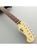 NST100RAL-3TS Neo Classic (3-Tone Sunburst), зображення 5