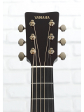 TAG3 C TransAcoustic (Natural), зображення 10
