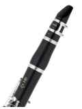 YCL-450, зображення 4