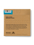 DJN0920 NICKEL WOUND TENOR BANJO STRINGS 09-20 | 5 STRING, зображення 2