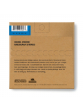 DJN1023 NICKEL WOUND LOOP END BANJO STRINGS 10-23 | 5-STRING, зображення 2