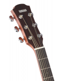 AC3R ARE (Tobacco Brown Sunburst), зображення 4