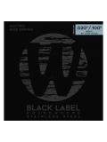 40310 Black Label Medium Light 5-String High C (20-100), зображення 1