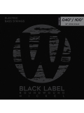 41210 Black Label, Nickel-Plated, Medium Light 4-String (40-100), зображення 1