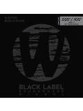 41311 Black Label, Nickel-Plated, Medium Light 5-String High C (25-105), зображення 1