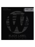 41401 Black Label, Nickel-Plated, Medium 6-String (25-135), зображення 1