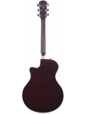 APX600FM (Amber), зображення 4