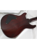 P24 LIMITED 10TOP (BLACK GOLD BURST), зображення 6