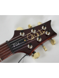 P24 LIMITED 10TOP (BLACK GOLD BURST), зображення 4