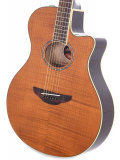 APX600FM (Amber), зображення 2