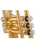 YTR-4435GII C/Bb Trumpet, зображення 3