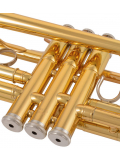 YTR-4435GII C/Bb Trumpet, зображення 9
