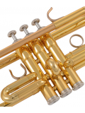 YTR-4435GII C/Bb Trumpet, зображення 8