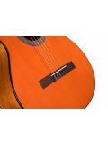 AC100DX (Yellow Tinted), зображення 4