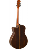 AC3R ARE (Tobacco Brown Sunburst), зображення 2
