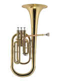 AH500 (S) Alto Horn (Eb), зображення 1