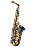 AL800BL(S) Alto Saxophone, зображення 1