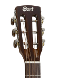 AP550 (Vintage Burst), зображення 3