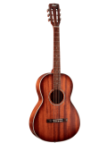 AP550M (Open Pore), зображення 1