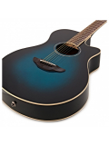APX600 (Oriental Blue Burst), зображення 2