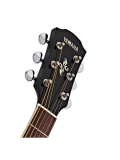 APX600 (Oriental Blue Burst), зображення 5