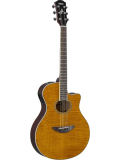 APX600FM (Amber), зображення 1