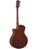 APX600 (Old Violin Sunburst), зображення 6