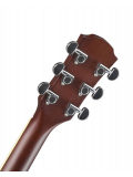 APX600 (Old Violin Sunburst), зображення 8