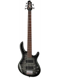 Action DLX V Plus (Faded Grey Burst), зображення 1
