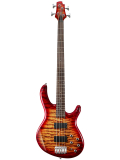 Action DLX Plus (Cherry Red Sunburst), зображення 1