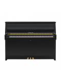 B10 (Polished Ebony), зображення 2