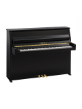 B10 (Polished Ebony), зображення 1