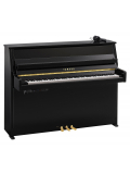 B10 SC3 (Polished Ebony), зображення 1