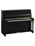 B20 (Polished Ebony), зображення 1