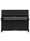 B20 (Polished Ebony), зображення 2