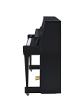 B20 (Polished Ebony), зображення 3