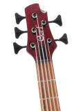 B5 Element (Open Pore Burgundy Red), зображення 3