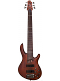 B6 Plus MH (Open Pore Mahogany), зображення 1