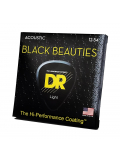 BLACK BEAUTIES Acoustic - Light (12-54), зображення 2