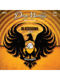 8019 BLACKHAWK ACOUSTIC 80/20 BRONZE LT (11-52), зображення 1