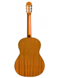 C1 (with Gig Bag), зображення 3