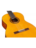 C1 (with Gig Bag), зображення 4